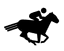 Equestrian Center And Horse Track