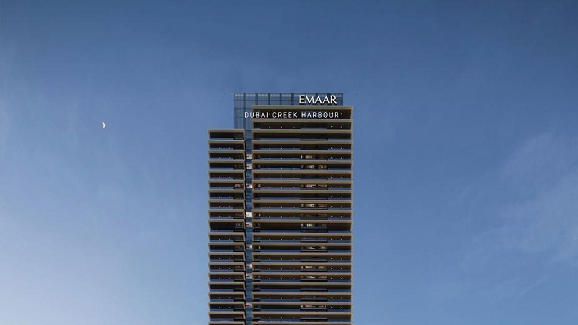 albero-3.jpg