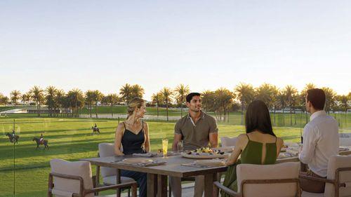 chevalia-fields-13.jpg