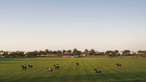 chevalia-fields-16.jpg